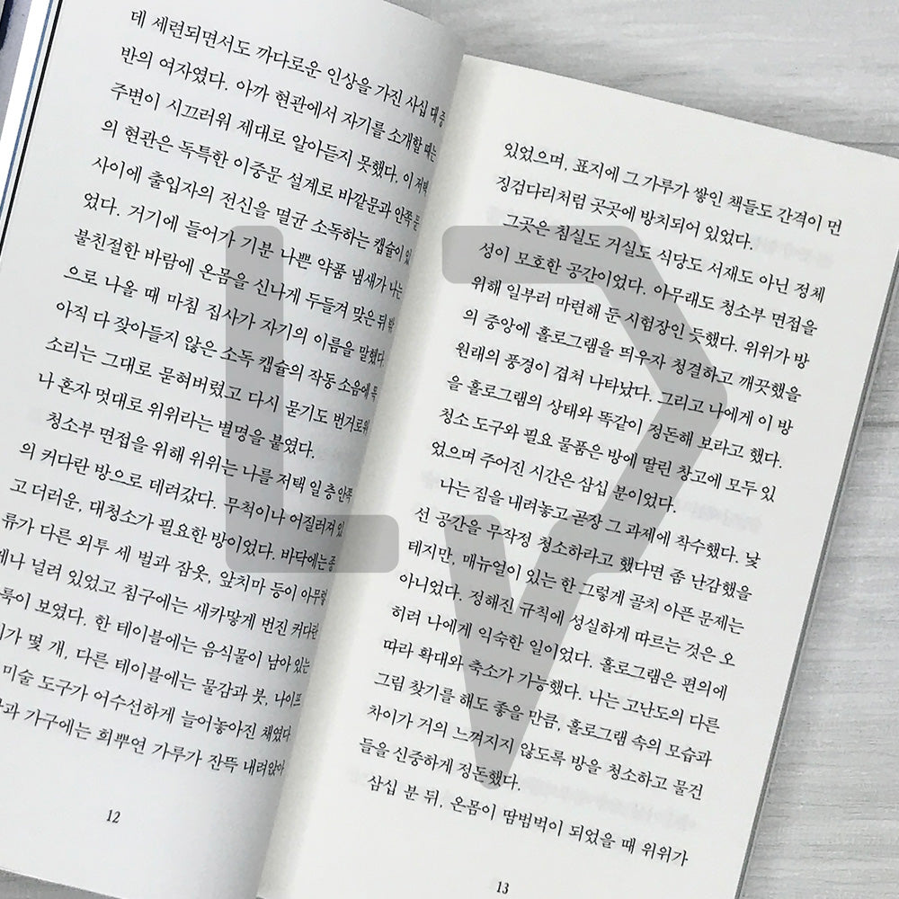 Pieces of Light 빛의 조각들