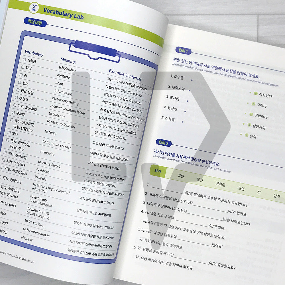 Task-Based Business Korean for Professionals 과제로 배우는 비즈니스 한국어