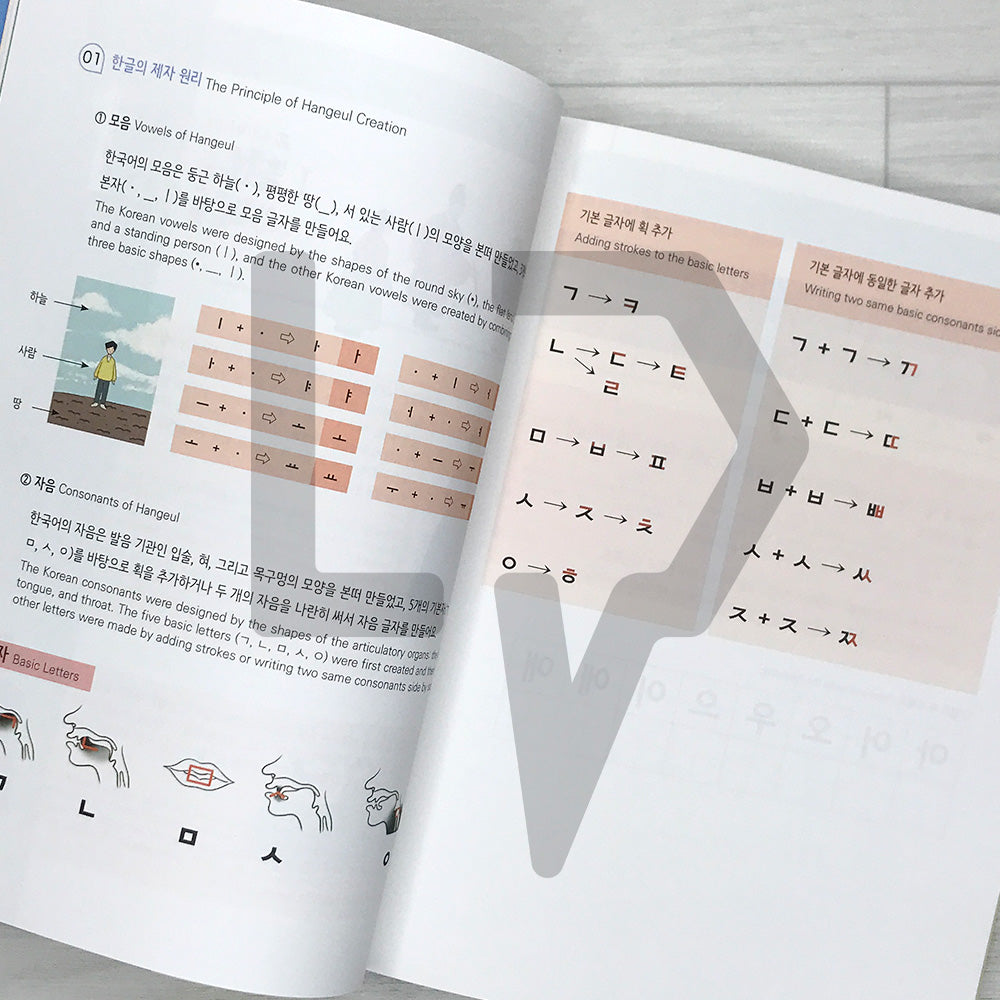 Everyday Korean for Beginners 1, 2nd Edition: A One-Semester Korean Language Course for University Students 날마다 한국어 초급 1, 제2판
