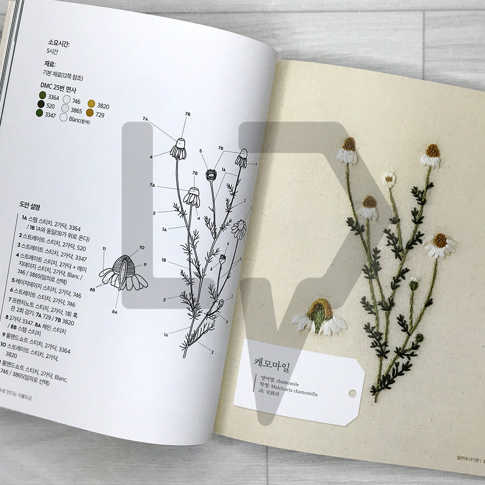 Embroidering Plants and Flowers for Beginners 프랑스 자수로 만드는 식물도감: 33 Plants to Stitch