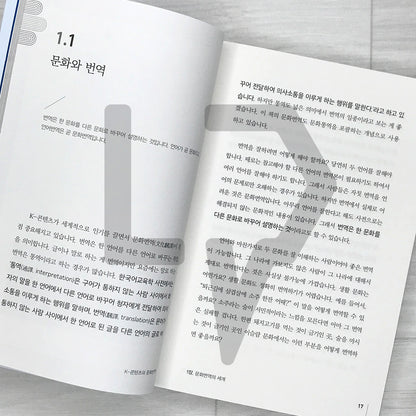 K-Content & Cultural Translation K-콘텐츠와 문화번역