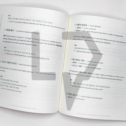 Talk To Me In Korean (TTMIK) Grammar Textbook Level 9 - Life Pattern Korea