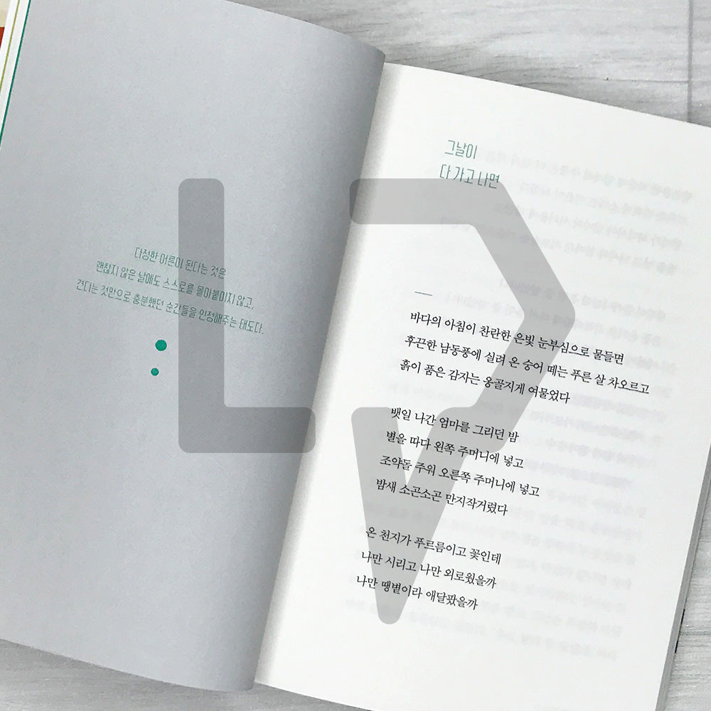 Becoming a Kinder Adult: Spring Comfort After a Long Winter 다정한 어른이 된다는 것: 긴 겨울을 지나온 당신에게 건네는 봄의 위로