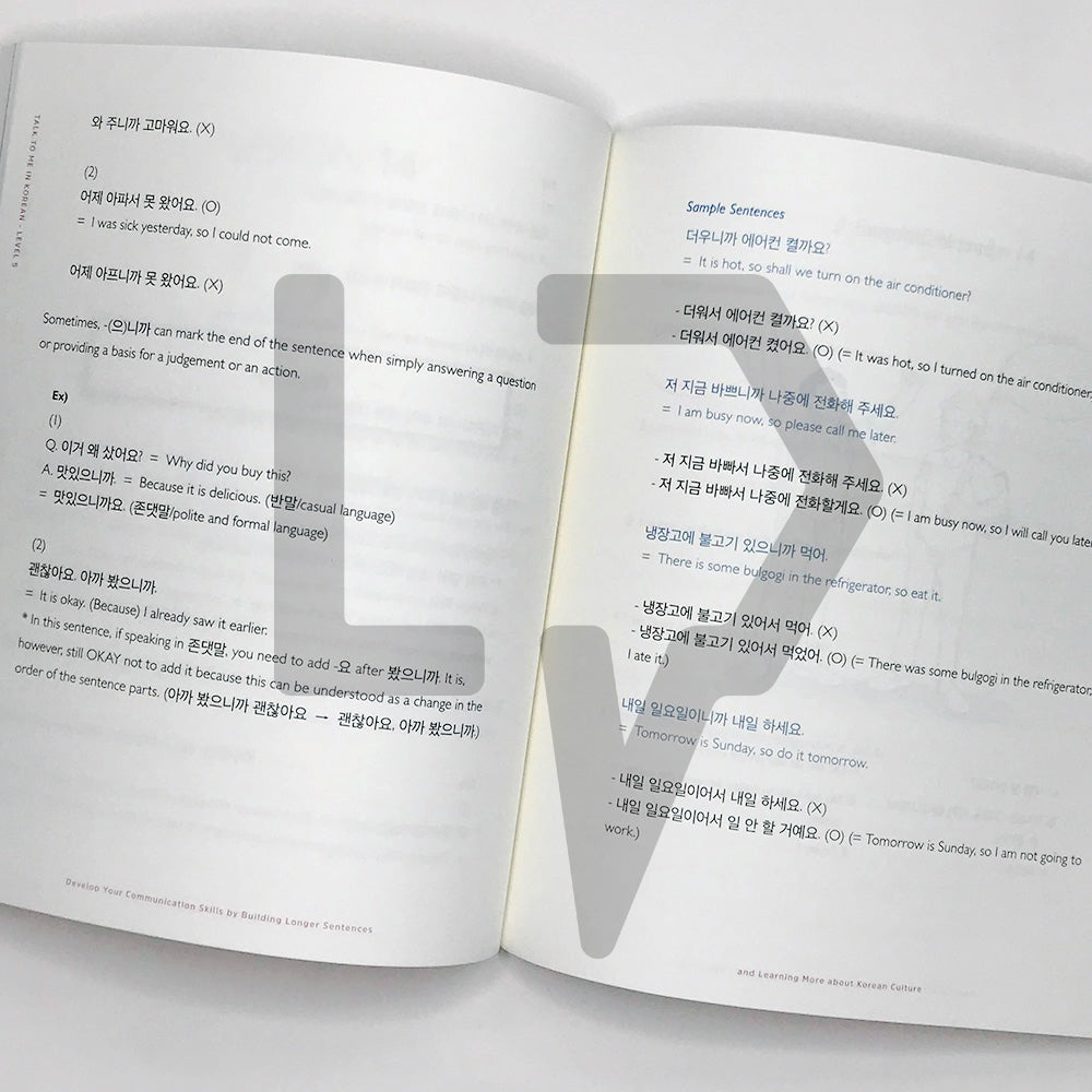 Talk To Me In Korean (TTMIK) Grammar Textbook Level 5 - Life Pattern Korea