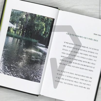 Not Everything Is As It Seems by Kang Min-hyuk (2026 Revised Edition) 다 그런 건 아니야 (개정증보판)
