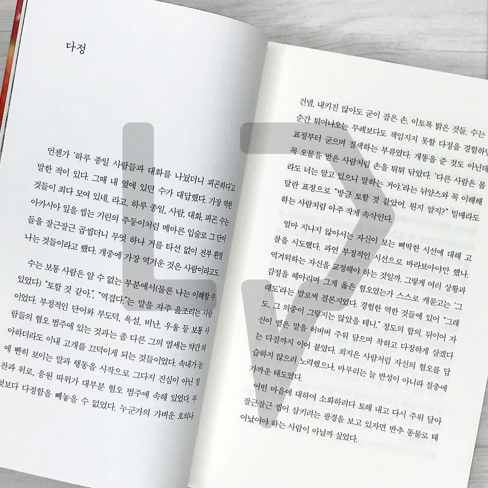 Dear Salvation 구원에게