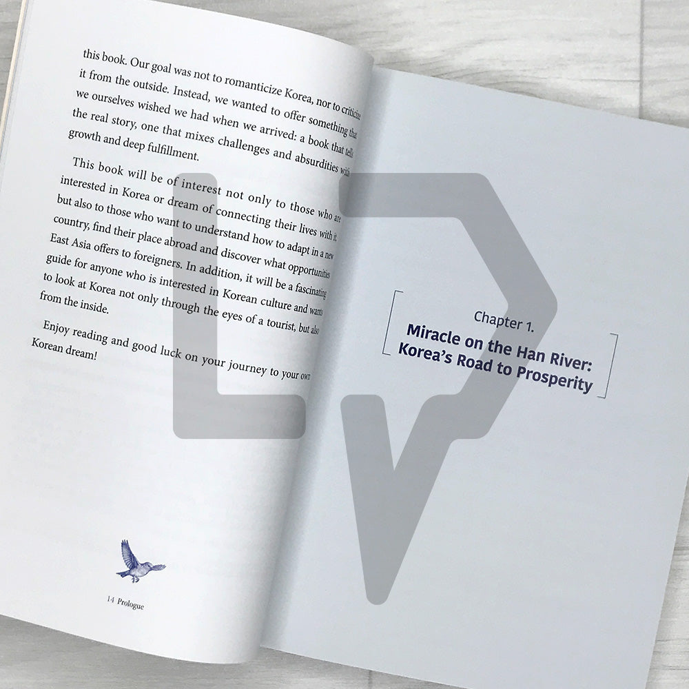 The Korean Dream: A Foreigner's Guide to Success In The Land of Innovation