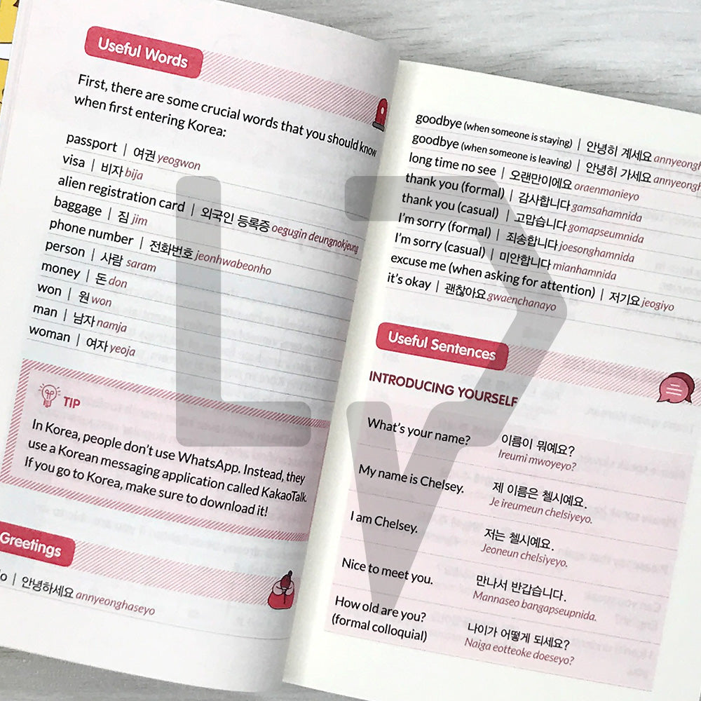 Survival Korean Crash Course: Your Friendly Guide to Student Life in Korea