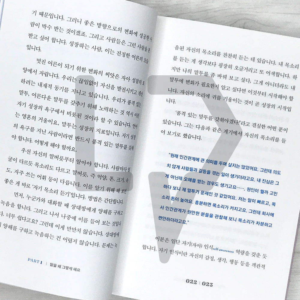 The Language of Adulthood 어른의 말투