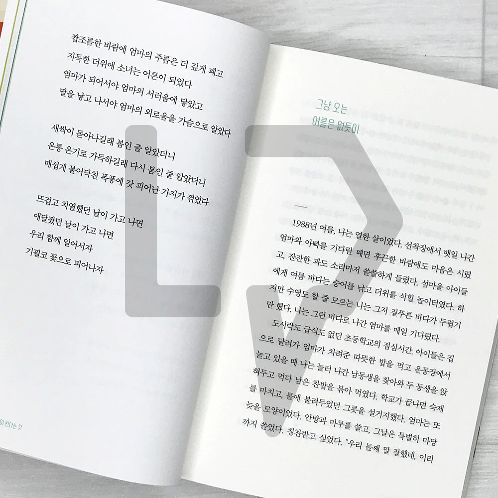 Becoming a Kinder Adult: Spring Comfort After a Long Winter 다정한 어른이 된다는 것: 긴 겨울을 지나온 당신에게 건네는 봄의 위로