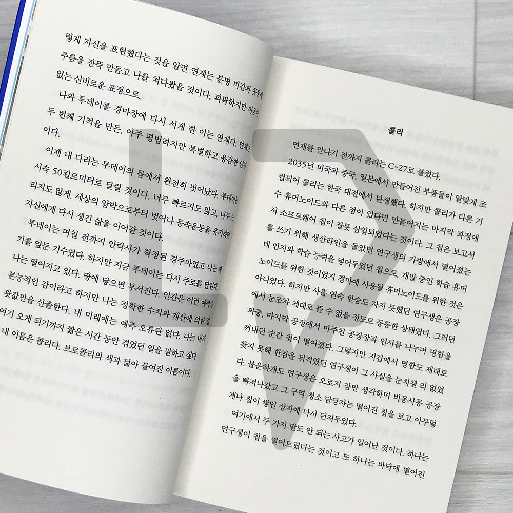 A Thousand Blues by Cheon Seon-ran 천 개의 파랑