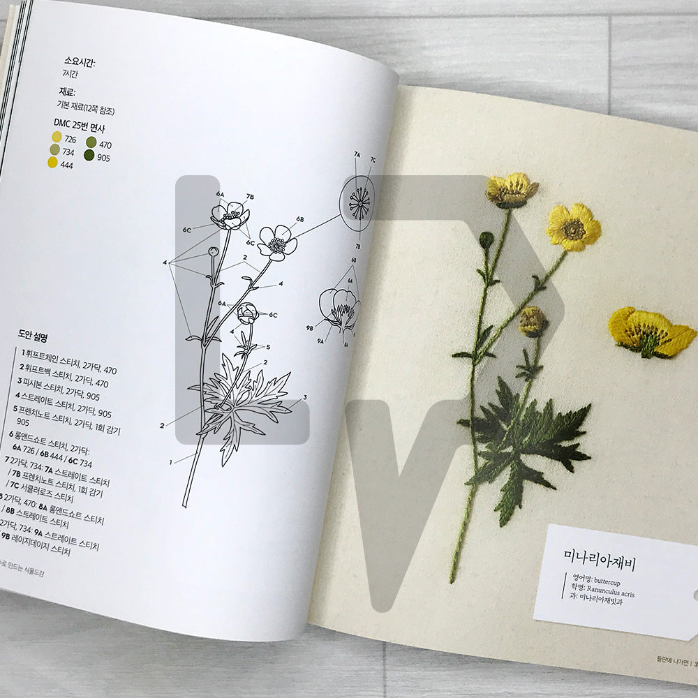 Embroidering Plants and Flowers for Beginners 프랑스 자수로 만드는 식물도감: 33 Plants to Stitch