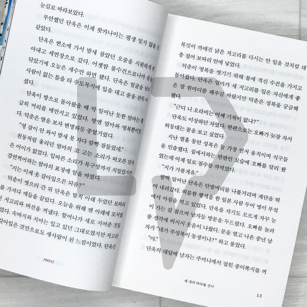 Cracks of Sorrow 슬픔의 틈새