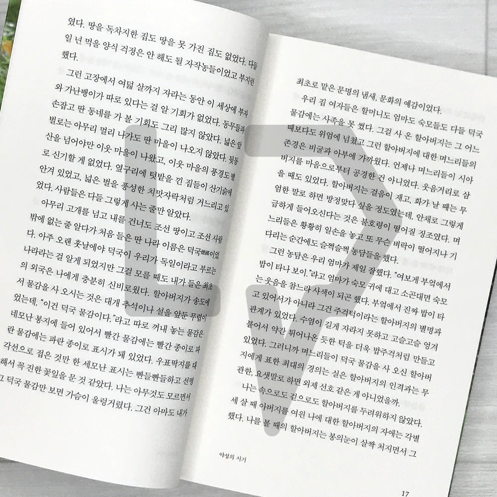 Who Ate All the Shinga? (Park Wan-suh × Lee Okto Special Edition) 그 많던 싱아는 누가 다 먹었을까 (박완서 X 이옥토 리커버 특별판)