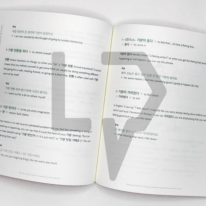 Talk To Me In Korean (TTMIK) Grammar Textbook Level 9 - Life Pattern Korea