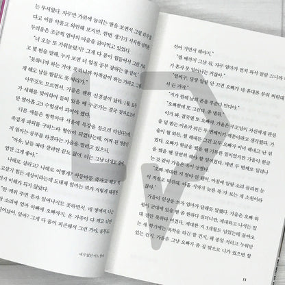 On a Night When I Wasn’t There 내가 없던 어느 밤에