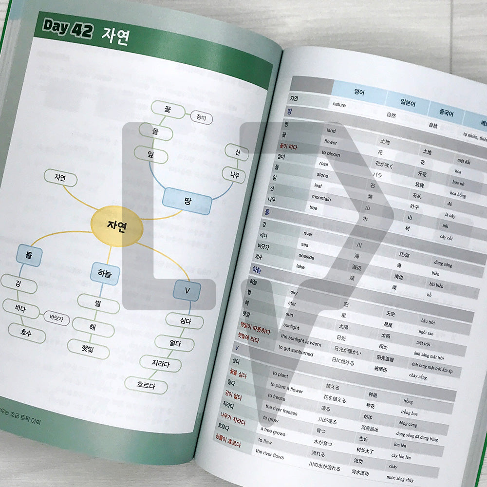 Learning TOPIK Vocabulary through Mind Maps: 1800 Beginner Words 마인드맵으로 배우는 초급 토픽 어휘 1800