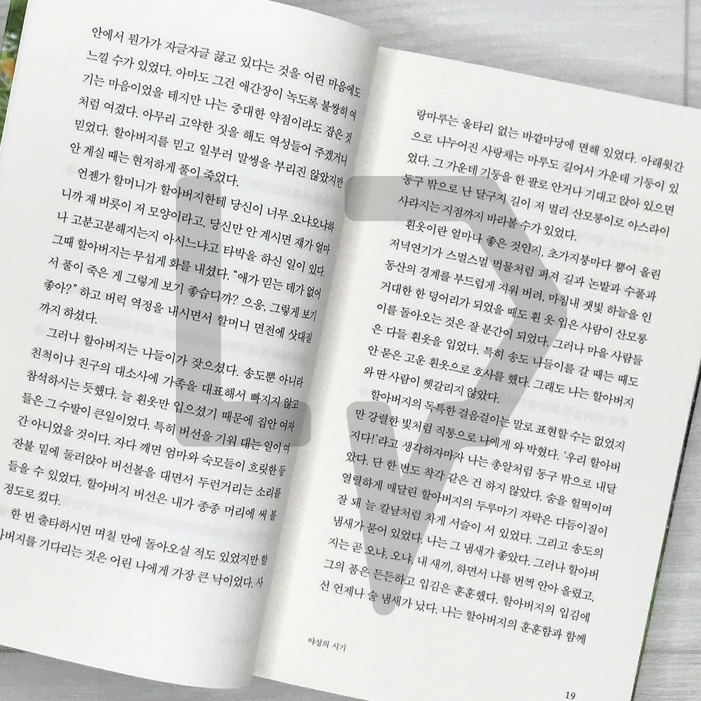 Who Ate All the Shinga? (Park Wan-suh × Lee Okto Special Edition) 그 많던 싱아는 누가 다 먹었을까 (박완서 X 이옥토 리커버 특별판)