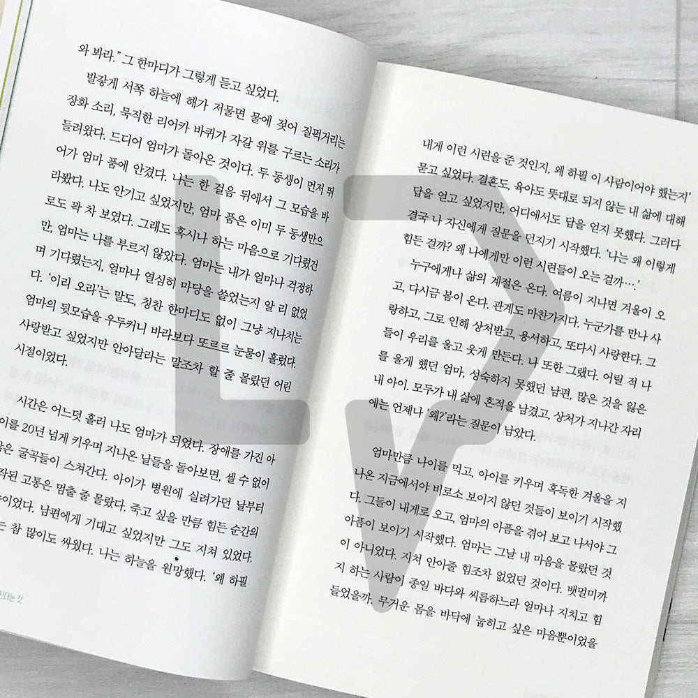 Becoming a Kinder Adult: Spring Comfort After a Long Winter 다정한 어른이 된다는 것: 긴 겨울을 지나온 당신에게 건네는 봄의 위로