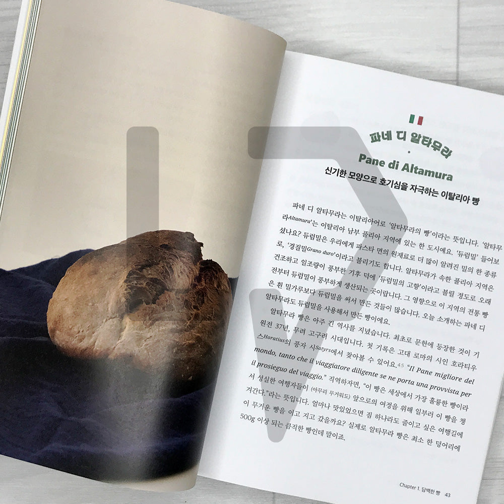 A Fun World Bread Adventure Again Today 오늘도 즐거운 세계 빵 탐험