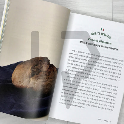 A Fun World Bread Adventure Again Today 오늘도 즐거운 세계 빵 탐험