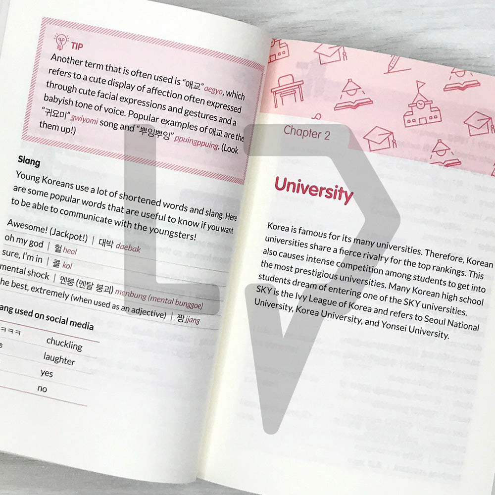 Survival Korean Crash Course: Your Friendly Guide to Student Life in Korea