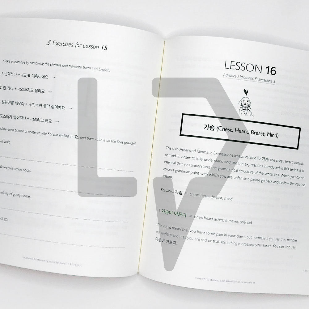 Talk To Me In Korean (TTMIK) Grammar Textbook Level 8 - Life Pattern Korea