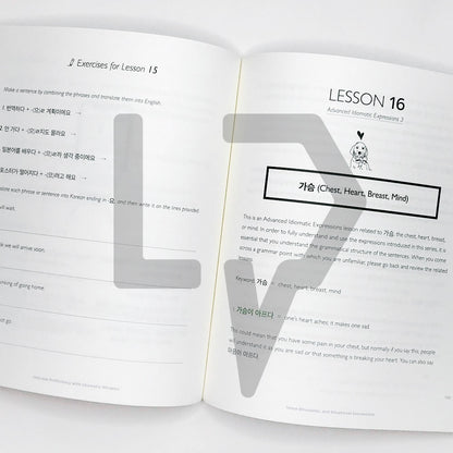 Talk To Me In Korean (TTMIK) Grammar Textbook Level 8 - Life Pattern Korea