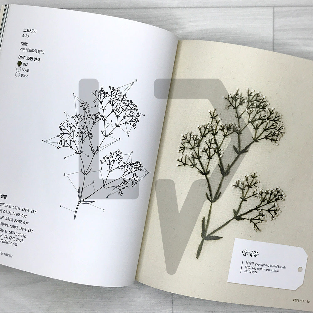 Embroidering Plants and Flowers for Beginners 프랑스 자수로 만드는 식물도감: 33 Plants to Stitch