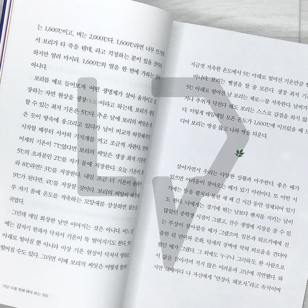 What You Must Do for Yourself Now: Kim Yeon-koung's Thoughts Toward Completion 지금 나를 위해 해야 하는 것들: 완성을 향한 김연경의 생각