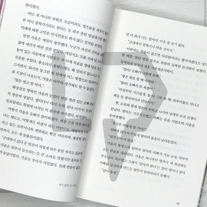 On a Night When I Wasn’t There 내가 없던 어느 밤에