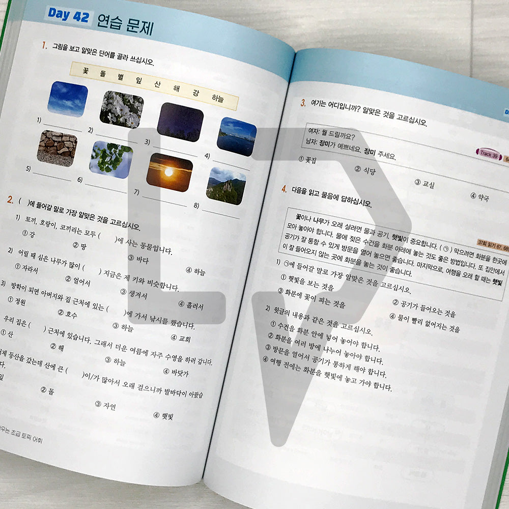 Learning TOPIK Vocabulary through Mind Maps: 1800 Beginner Words 마인드맵으로 배우는 초급 토픽 어휘 1800