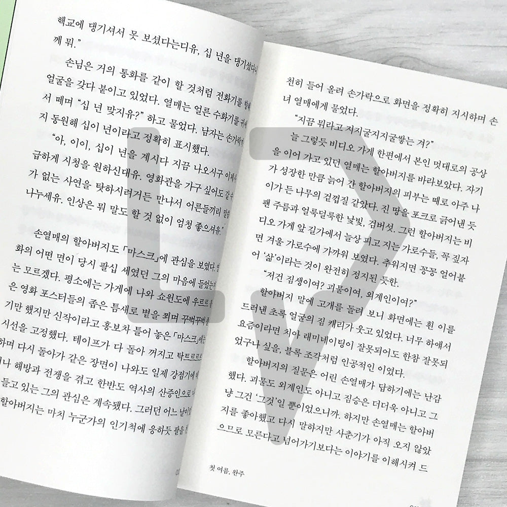 My First Summer, Wanju: Reading Novel Edition 첫 여름, 완주(읽는 소설)