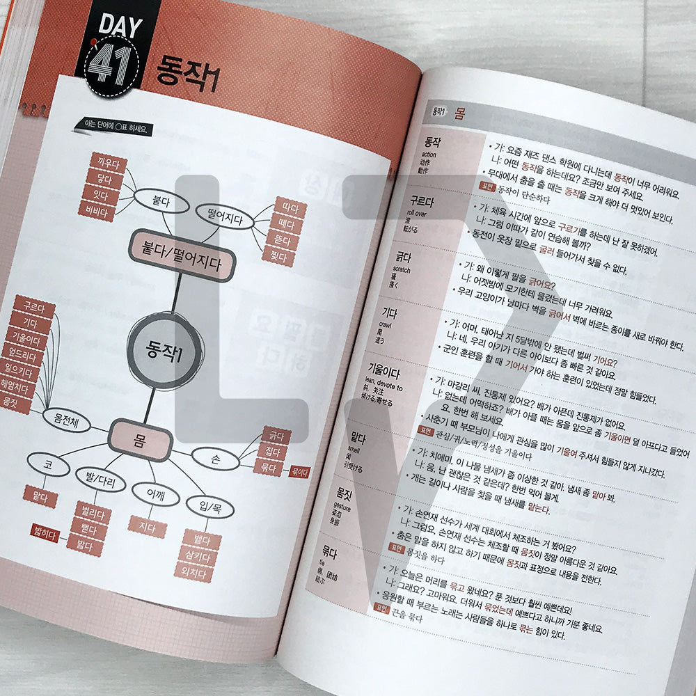 Learning TOPIK Vocabulary through Mind Maps: 2300 Intermediate Words 마인드맵으로 배우는 토픽 어휘 2300