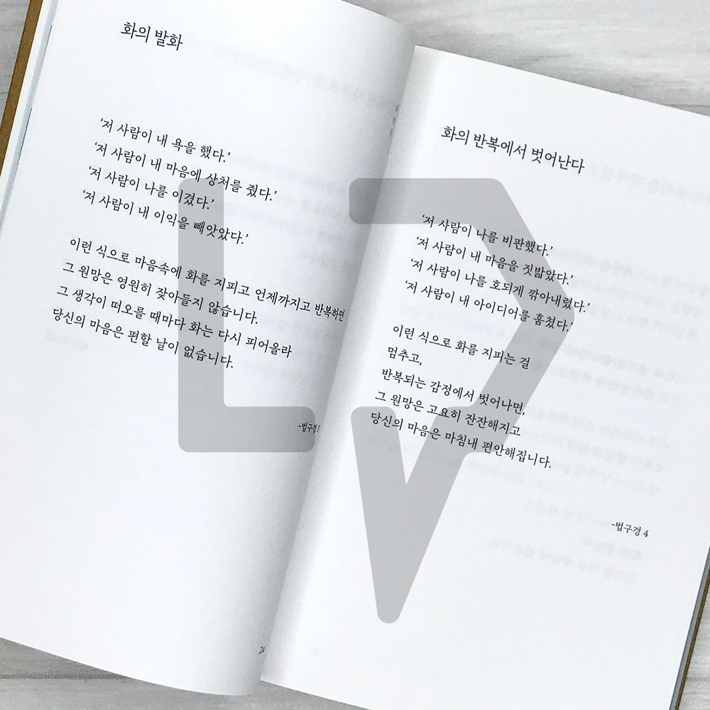 The Buddha's Words: A Modern Interpretation Loved for 2,500 Years 초역 부처의 말: 2500년 동안 사랑받은