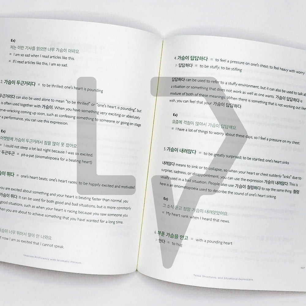 Talk To Me In Korean (TTMIK) Grammar Textbook Level 8 - Life Pattern Korea