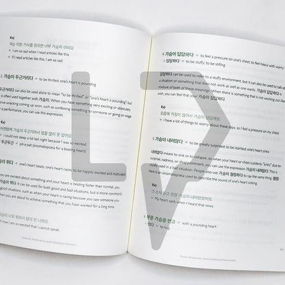 Talk To Me In Korean (TTMIK) Grammar Textbook Level 8 - Life Pattern Korea