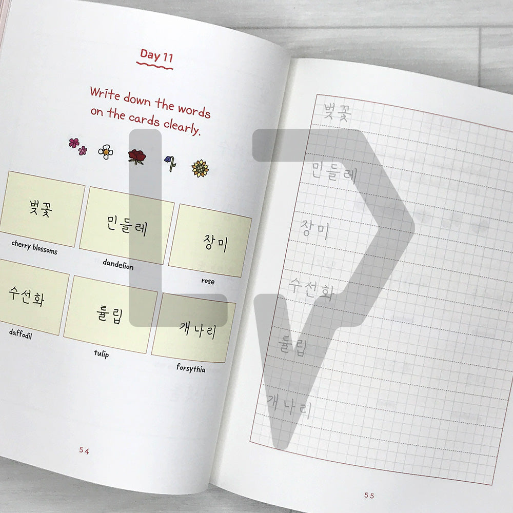 The Art of Korean Penmanship: How to Write Hangeul as Naturally as Native Koreans