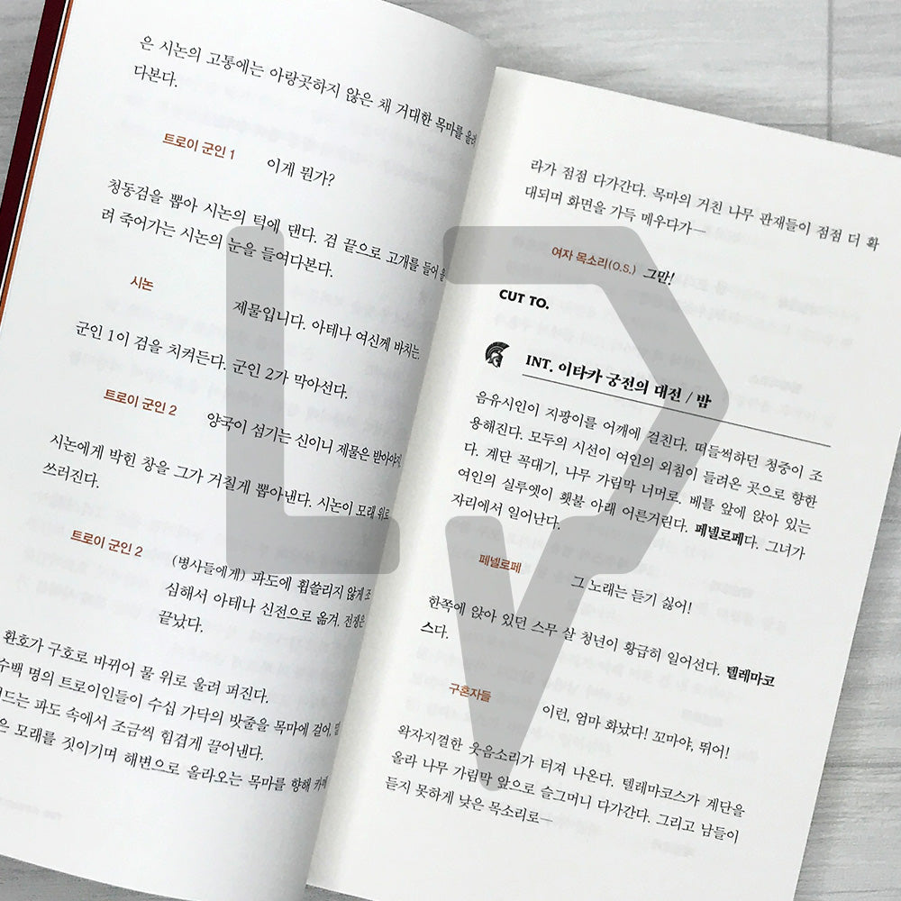 The Odyssey: The Complete Screenplay 오디세이 각본집