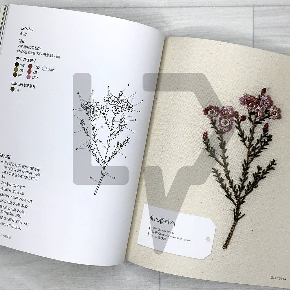 Embroidering Plants and Flowers for Beginners 프랑스 자수로 만드는 식물도감: 33 Plants to Stitch