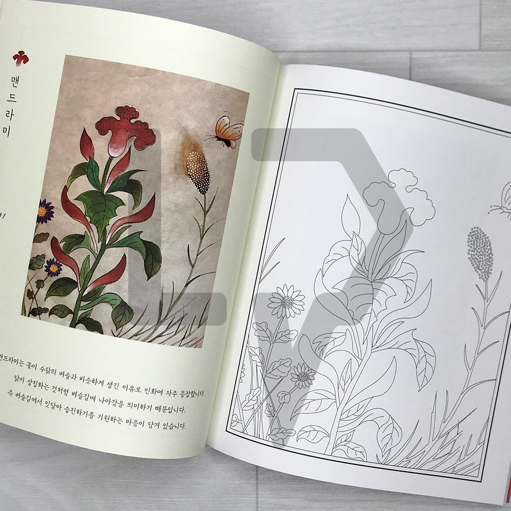 Beautiful Flowers Korean Minhwa Coloring Book 아름다운 꽃 우리 민화 컬러링북