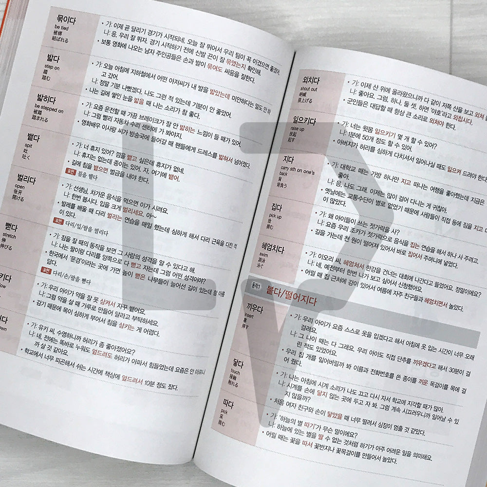 Learning TOPIK Vocabulary through Mind Maps: 2300 Intermediate Words 마인드맵으로 배우는 토픽 어휘 2300