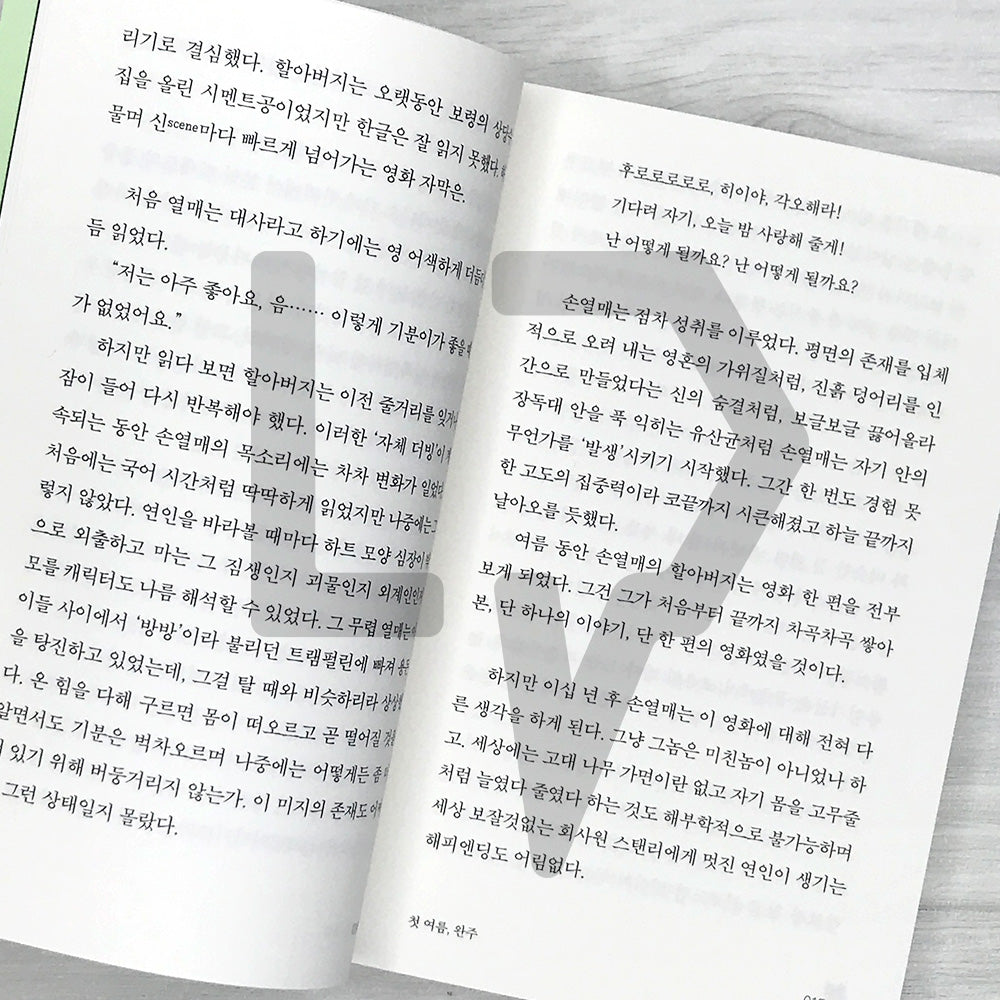 My First Summer, Wanju: Reading Novel Edition 첫 여름, 완주(읽는 소설)