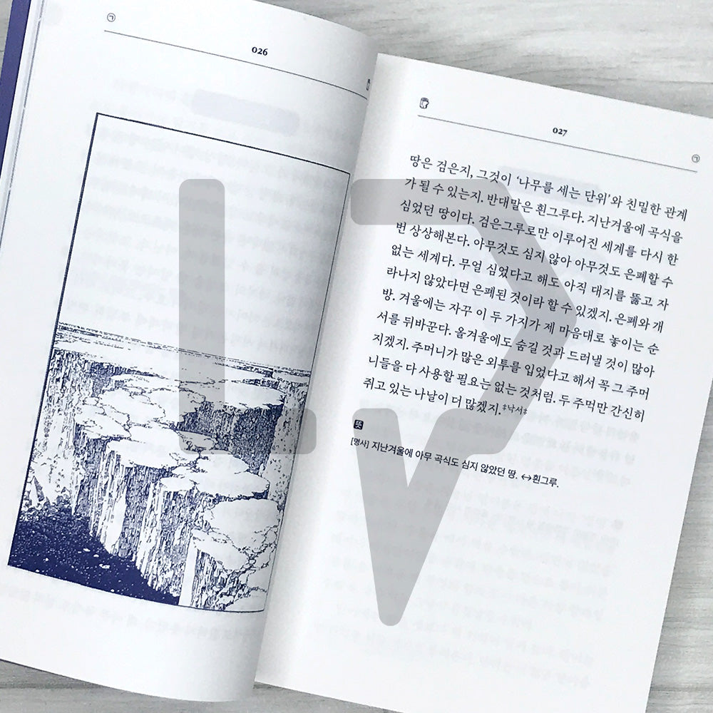 The Winter Dictionary: 148 Words Resembling Our Warmth 겨울어 사전