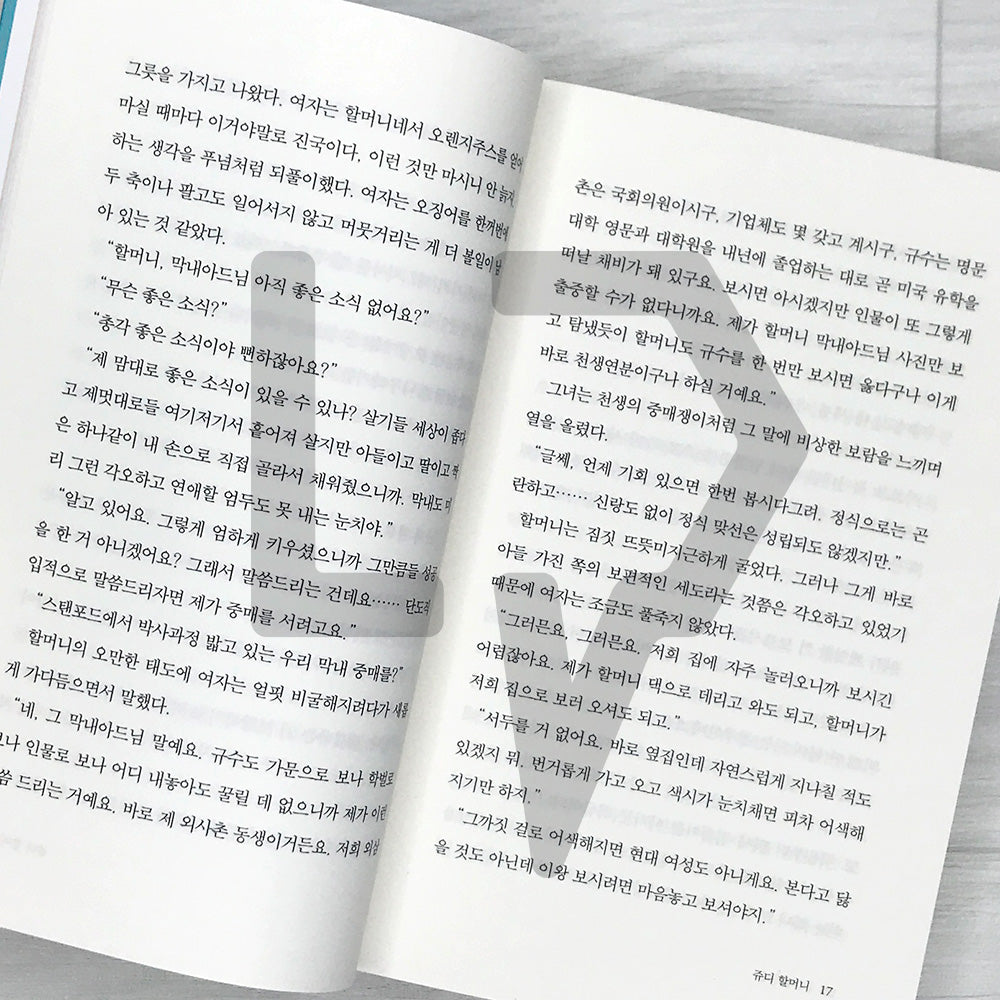 Grandmother Judy: Park Wansuh's Best 10 Short Stories 쥬디 할머니