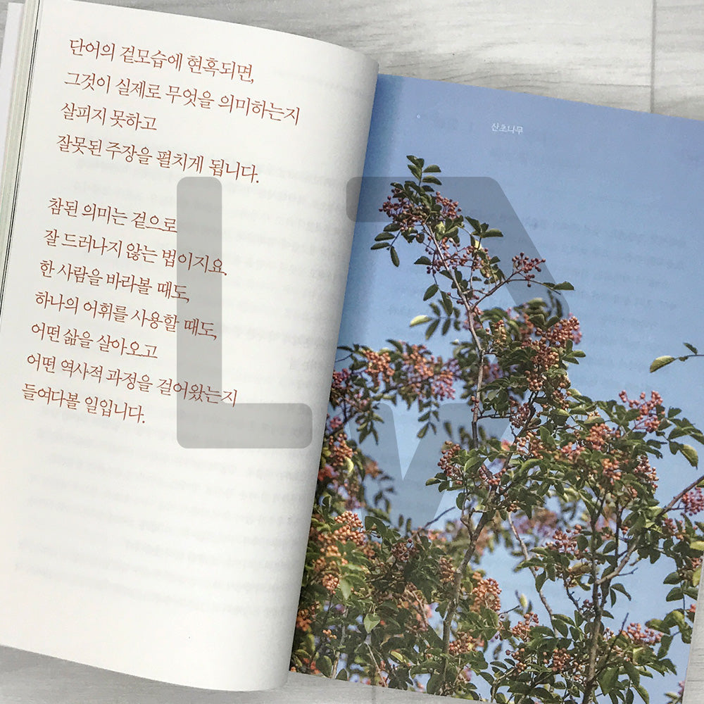 The World Embraced by Words 단어가 품은 세계
