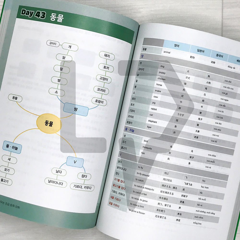 Learning TOPIK Vocabulary through Mind Maps: 1800 Beginner Words 마인드맵으로 배우는 초급 토픽 어휘 1800