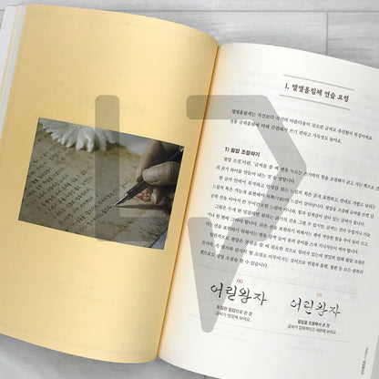 MaelMaelChaekirang Daily Handwriting Class 맬맬책이랑 손글씨 수업
