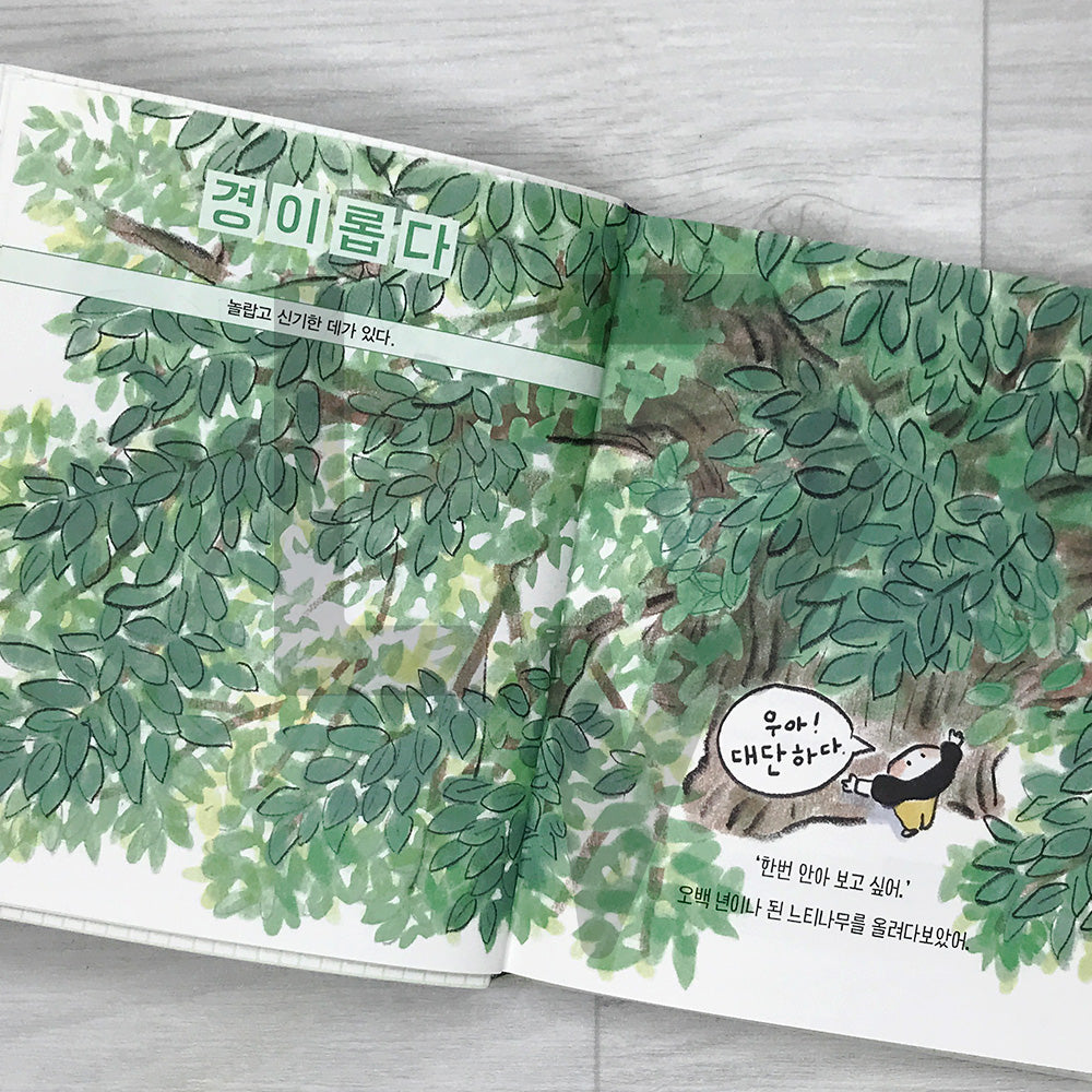 The Nine-Year-Old's Korean Dictionary of the Environment 아홉 살 환경 사전