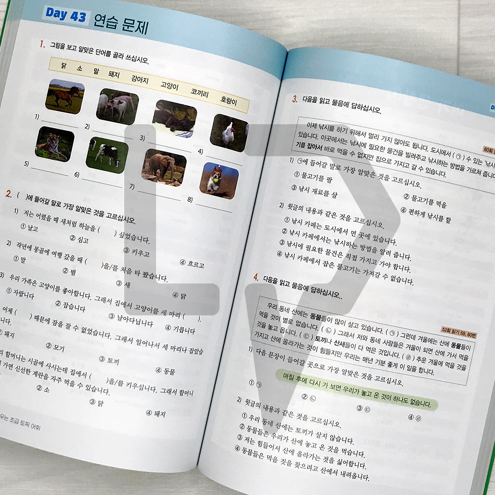 Learning TOPIK Vocabulary through Mind Maps: 1800 Beginner Words 마인드맵으로 배우는 초급 토픽 어휘 1800